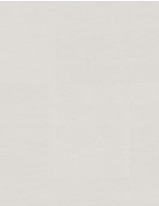 Otmarfloor_Rivestimenti vinilici murali_Tarkett_Wallgard_WHITE GREY_21055221