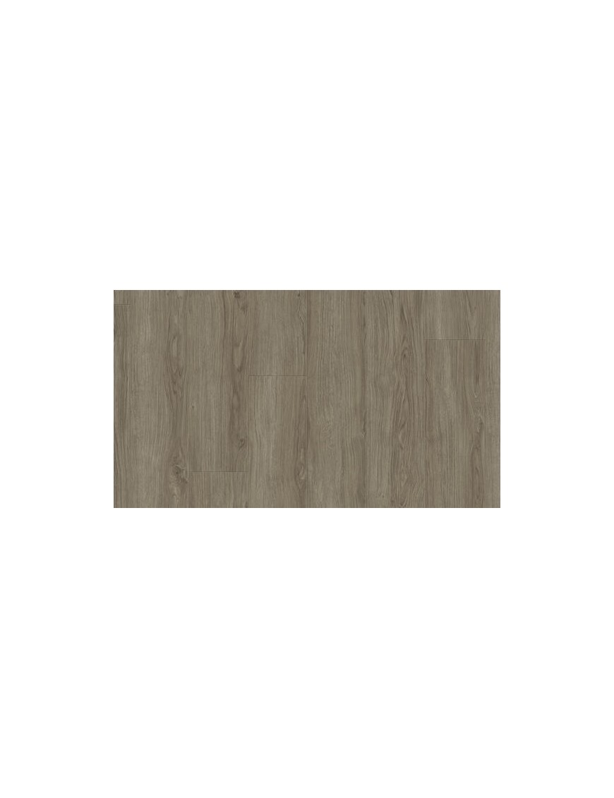 Woodstock 832 - 510038021 Aurora Oak Dawn