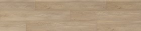 copy of STARFLOR CLICK 30...