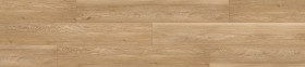 copy of STARFLOR CLICK 30...