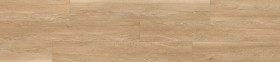 copy of STARFLOR CLICK 30...