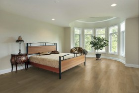 copy of STARFLOR CLICK 30...