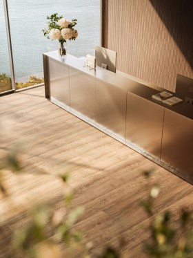 copy of STARFLOR CLICK 30...